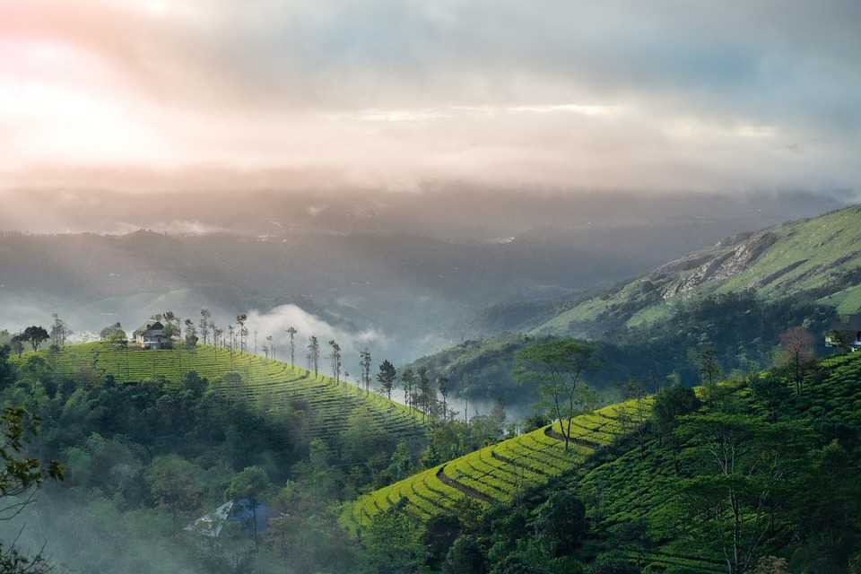 Best Kerala tour: Why It is the Ideal Destination in India